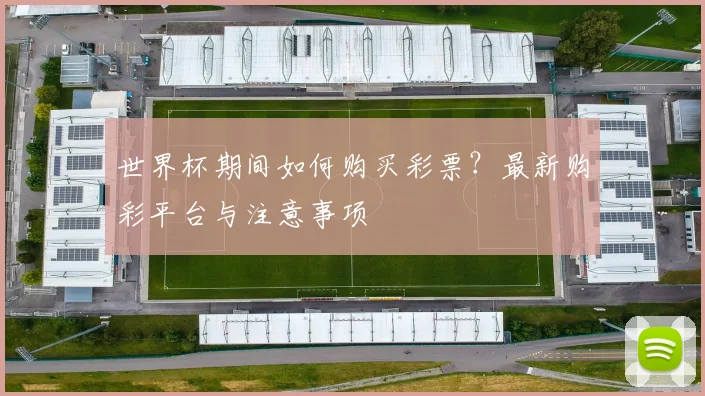 世界杯期间如何购买彩票？最新购彩平台与注意事项