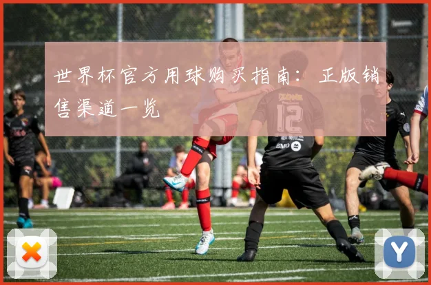 世界杯官方用球购买指南：正版销售渠道一览