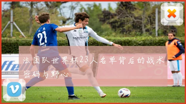 法国队世界杯23人名单背后的战术密码与野心