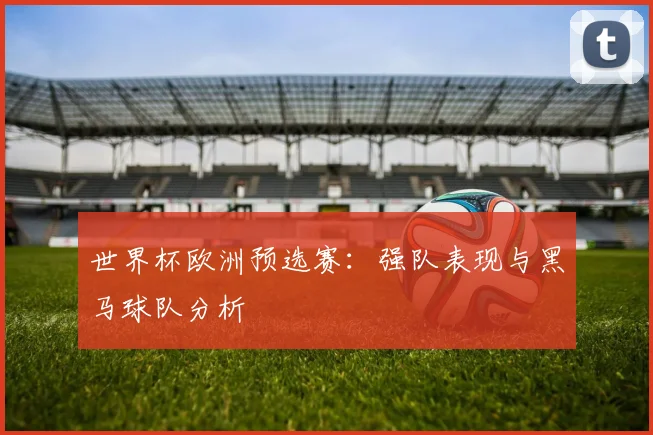 世界杯欧洲预选赛：强队表现与黑马球队分析