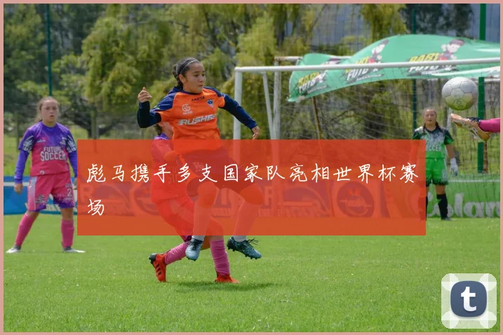 彪马携手多支国家队亮相世界杯赛场