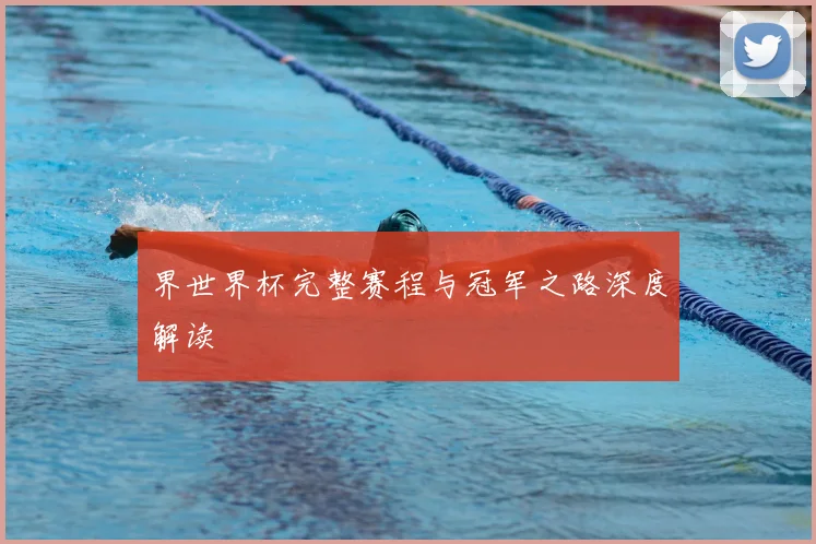 界世界杯完整赛程与冠军之路深度解读
