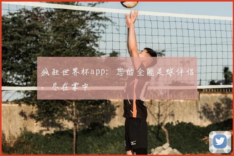 疯狂世界杯app：您的全能足球伴侣，尽在掌中