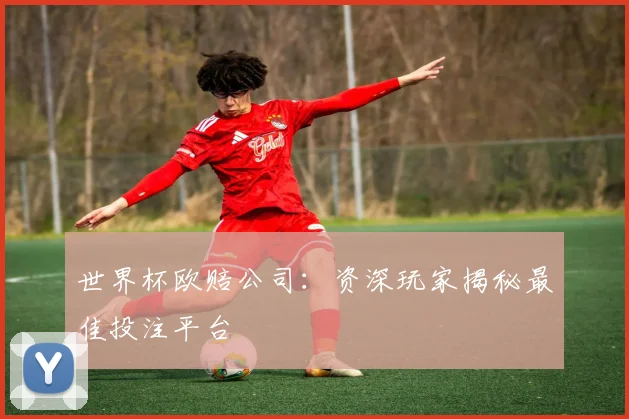 世界杯欧赔公司：资深玩家揭秘最佳投注平台