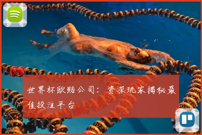 世界杯欧赔公司：资深玩家揭秘最佳投注平台