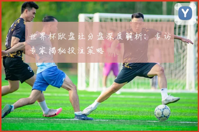 世界杯欧盘让分盘深度解析：专访专家揭秘投注策略
