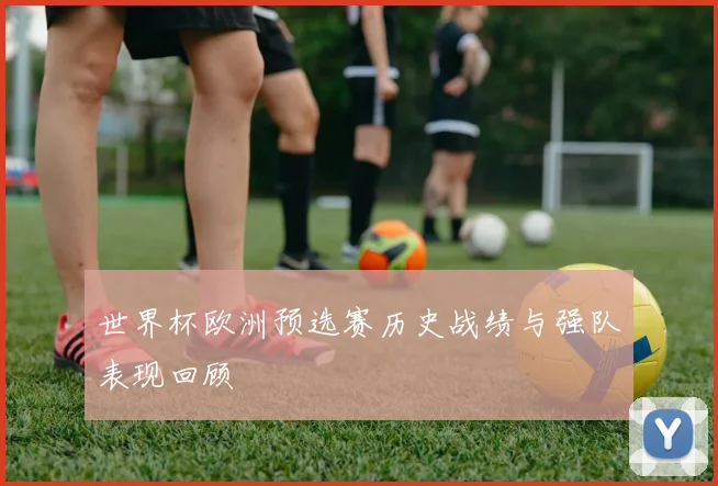 世界杯欧洲预选赛历史战绩与强队表现回顾